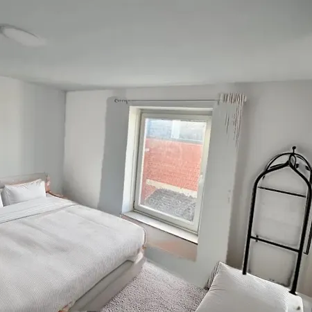 Apartment Rive Gauche D Centre - Gare - Aeroport Charleroi